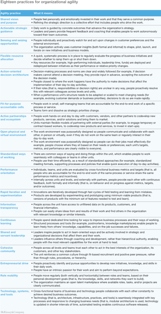 McKinsey1 sidebar